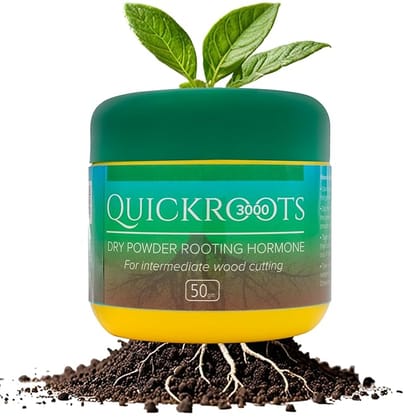 DIVINE TREE Quickroots 3000 Dry Powder Rooting Hormone(50 G)