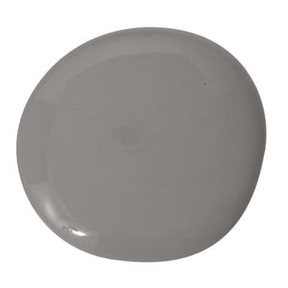 1001 Homecare PU Premium High Gloss Enamel Paint - High Gloss Finish, Fade Resistant, Wall & Metal Paint - Smoke Grey, 4 Ltr 1001 Homecare PU Premium High Gloss Enamel Paint - High Gloss Finish, Fade Resistant, Wall & Metal Paint - Smoke Grey, 4 Ltr