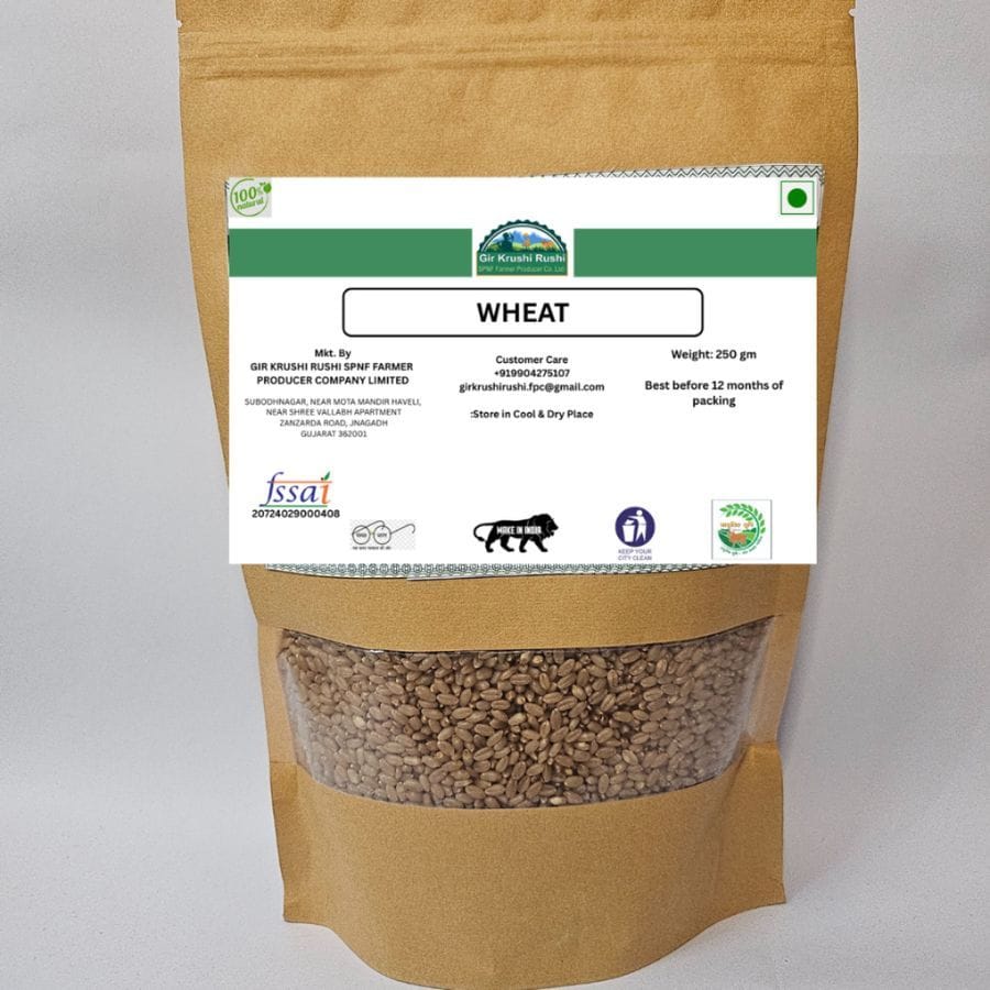 WHEAT - 250 gm - 250 gm - One pack of wheat