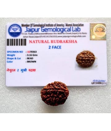 PAYSTORE Rudraksha Pack of 1