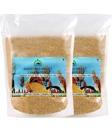 Hillpure Organic Barnyard Millet 1000 gm Pack of 2