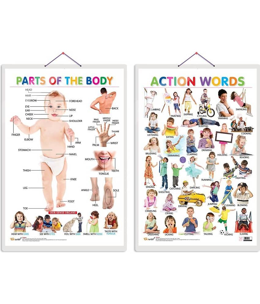 Set of 2 Parts of the Body and Action Words Early Learning Educational Charts for Kids | 20"X30" inch |Non-Tearable and Waterproof | Double Sided Laminated | Perfect for Homeschooling, Kindergarten and Nursery Students