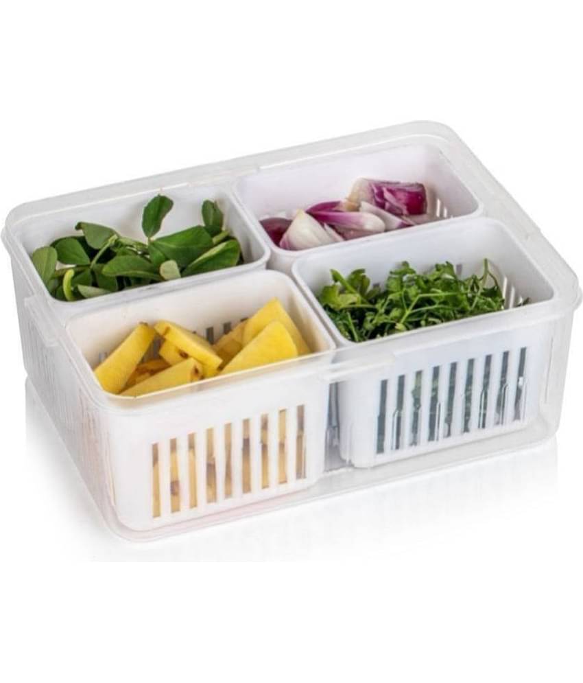 iview kitchenware Food/Vegetable/Fruit Plastic White Multi-Purpose Container ( Set of 1 )