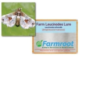 Farm Leucinodes Lure - Leucinodes orbonalis (Brinjal Shoot & Fruit borer) -1UNIT