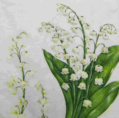 Decoupage Napkin / Tissue papers - GT1720