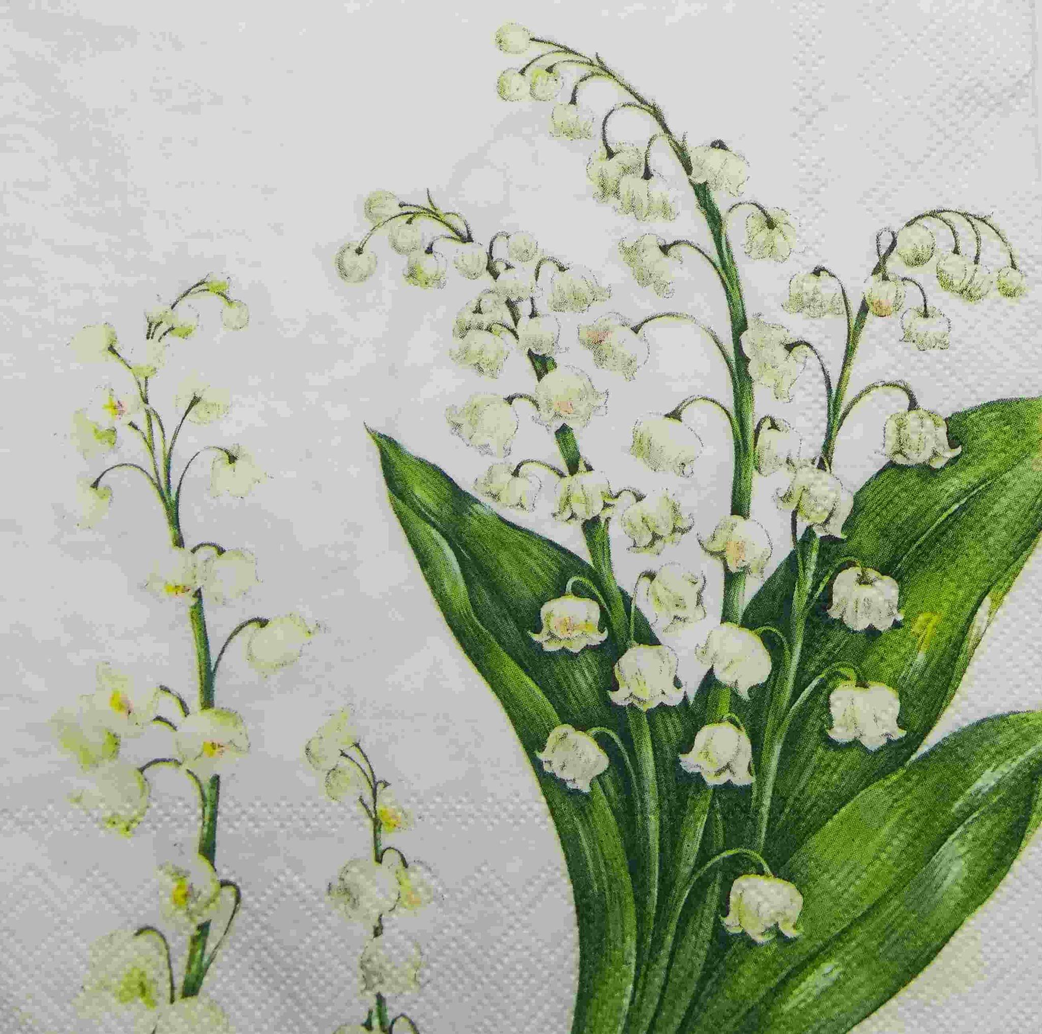 Decoupage Napkin / Tissue papers - GT1720