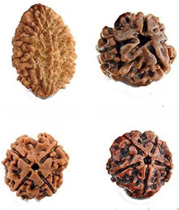 Rudraksh Beads (Pack of 4)