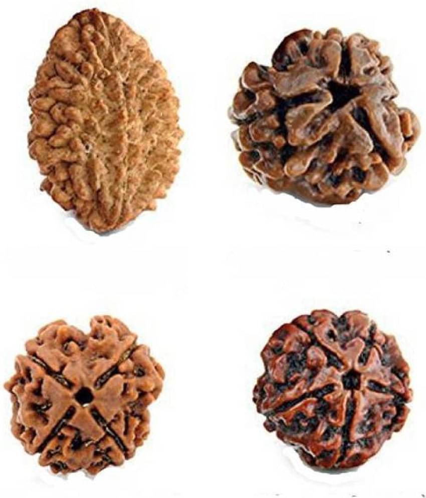 Rudraksh Beads (Pack of 4)