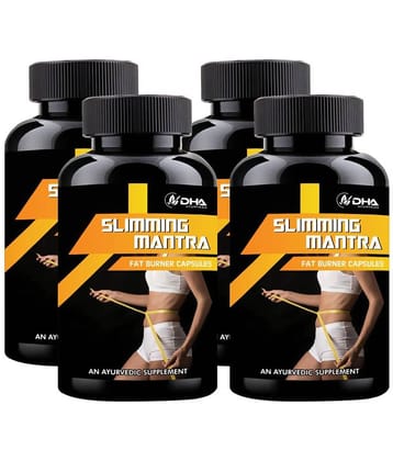 Dha Ayurveda Slimming Mantra- Herbal Fat Cutter Capsule 120 No.S Pack of 4