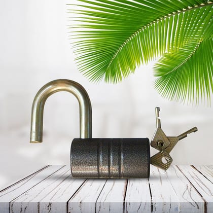 Heavy-Duty Iron Padlock – 82mm Black Spray Lock with Brass Core & 5 Keys, Waterproof & Anti-Theft