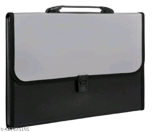 Expanding file folder with snap button and handle for documents, certificates, A4 size