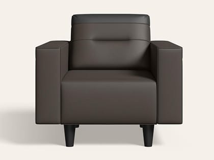 Vespera 1 Seater Synthetic Leather Sofa (3-Years Warranty, Solid Wood, Pebble and Black)