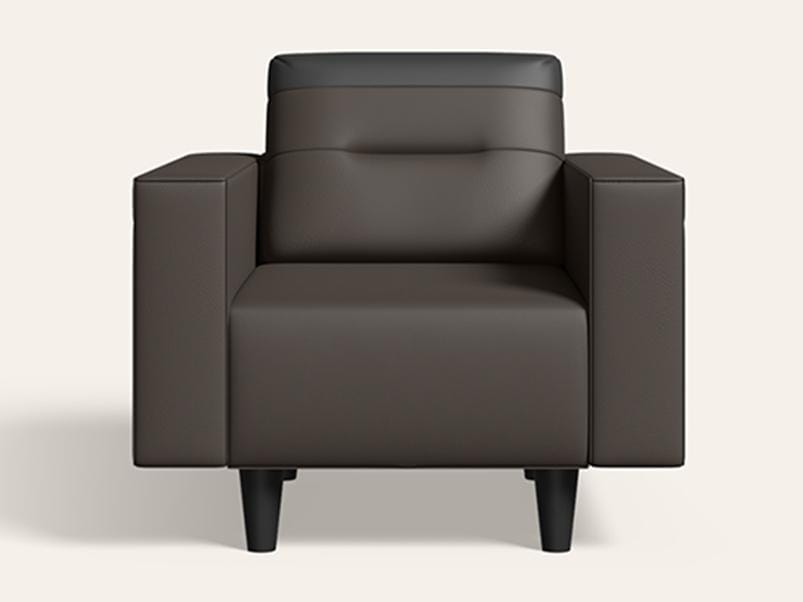 Vespera 1 Seater Synthetic Leather Sofa (3-Years Warranty, Solid Wood, Pebble and Black)