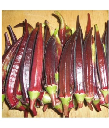 Okra/Bhindi/Lady Finger Vegetable Hybrid Seeds | Pack of 50 seeds