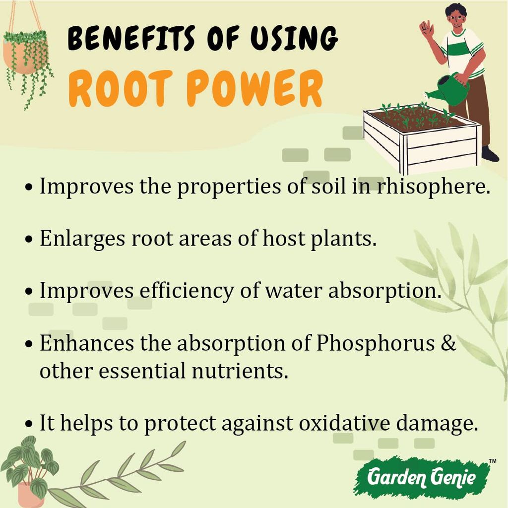 Garden Genie Root Power VAM Mycorrhiza Biofertilizer 380g - Root Stimulant Growth Booster and Development Fertilizer for Plants, Granules