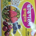 Sidhi Vinayak