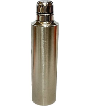 Dynore Fridge / School Bottle Silver Steel School Water Bottle 1000 mL ( Set of 1 )