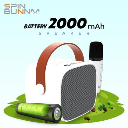Spin Bunny Karaoke Portable Speaker Spin Bunny Karaoke Portable Speaker - Black