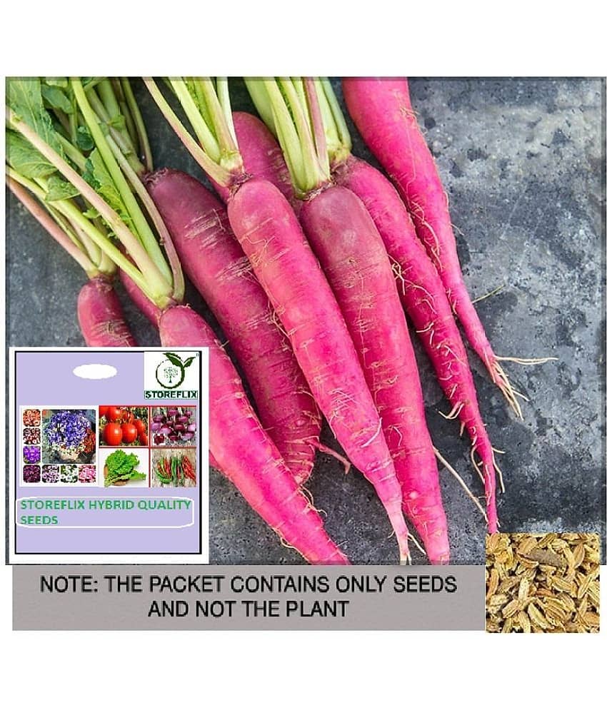 STOREFLIX Radish Vegetable ( 50 Seeds )