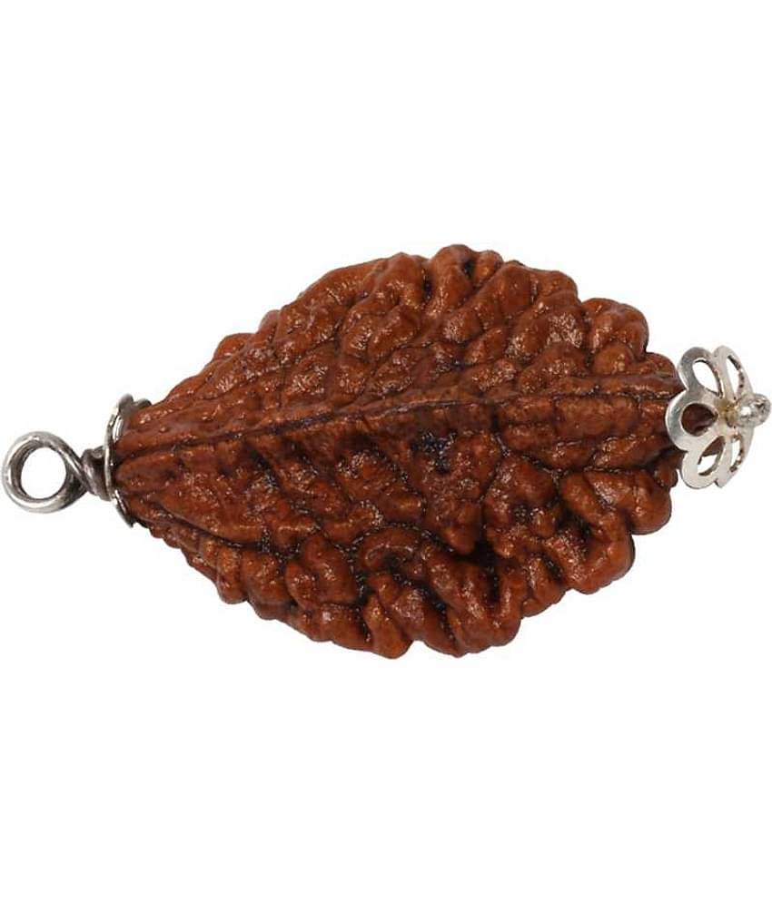 Astrodidi 2 Mukhi Rudraksha Pendant Wth Lab Certificate