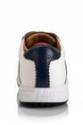 ... ...
