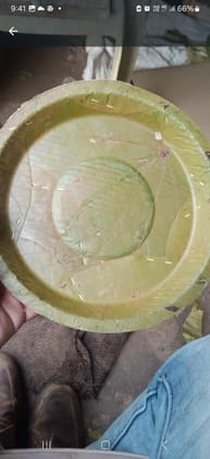 Green Leaf Plates - Siali / Sal