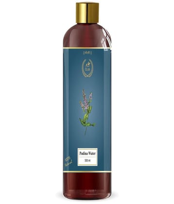 AGRI CLUB Pudina Tonic Water 500 mL