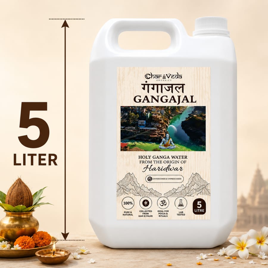 GANGAJAL 5 LTR | 100% ORIGINAL FROM HAR KI PAURI ( HARIDWAR) PREMIUM BOTTLE - 5 L - One 5-litre plastic container