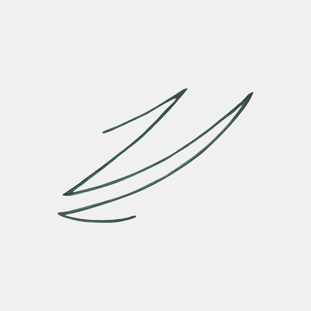 Star Struck by Sunny Leone Liquid Eye Definer - Evergreen