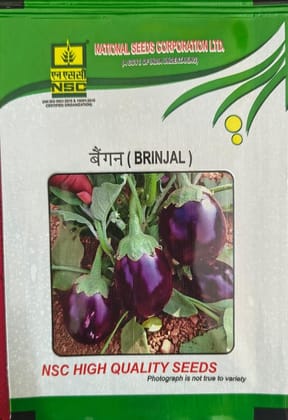 NSC Brinjal Pusa Uttam Seed, 5gm