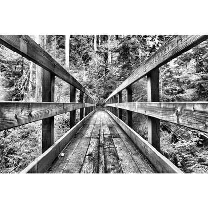ArtzFolio Black White Of Wooden Bridge Unframed Premium Canvas Painting-Canvas; Unframed Art / 18inch x 12inch (45.7cms x 30.5cms)