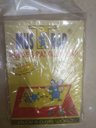 Mouse & rat glue trap