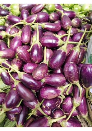 Brinjal - 1 kg