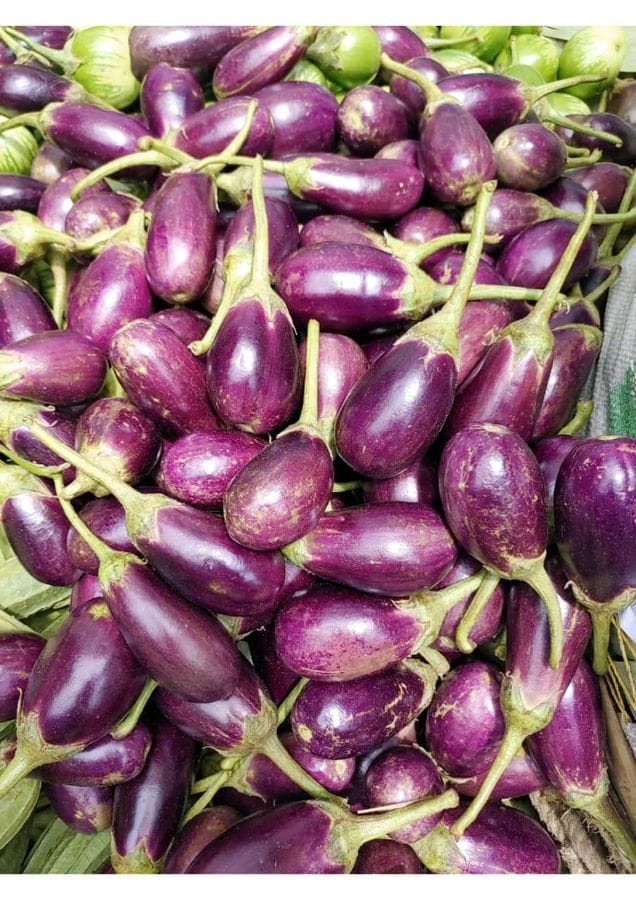 Brinjal - 1 kg