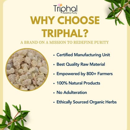 Gond Kondru – Shallaki Gum – Boswellia Serrata Gum | Natural Joint Support Herb | Triphal