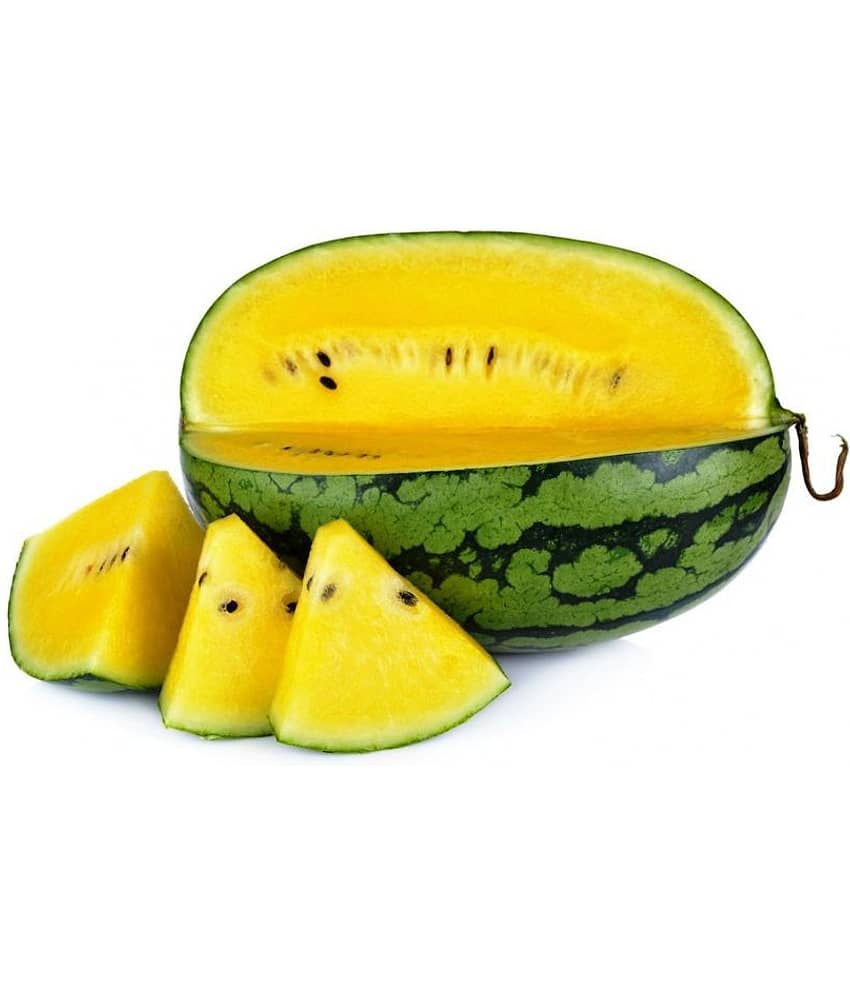 Iris Hybrid Seeds Fruit Seeds Yellow Watermelon