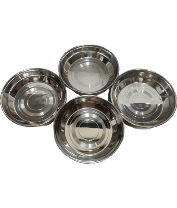 Dynore 4 Pcs Stainless Steel Silver Dessert Plate