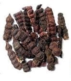 SHIKEKAI POWDER 100g