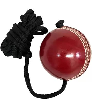 EmmEmm - Red Leather Cricket Ball ( Pack of 1 )
