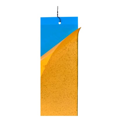Sticky Trap (25×33 cm)  Blue  by Palvi industries