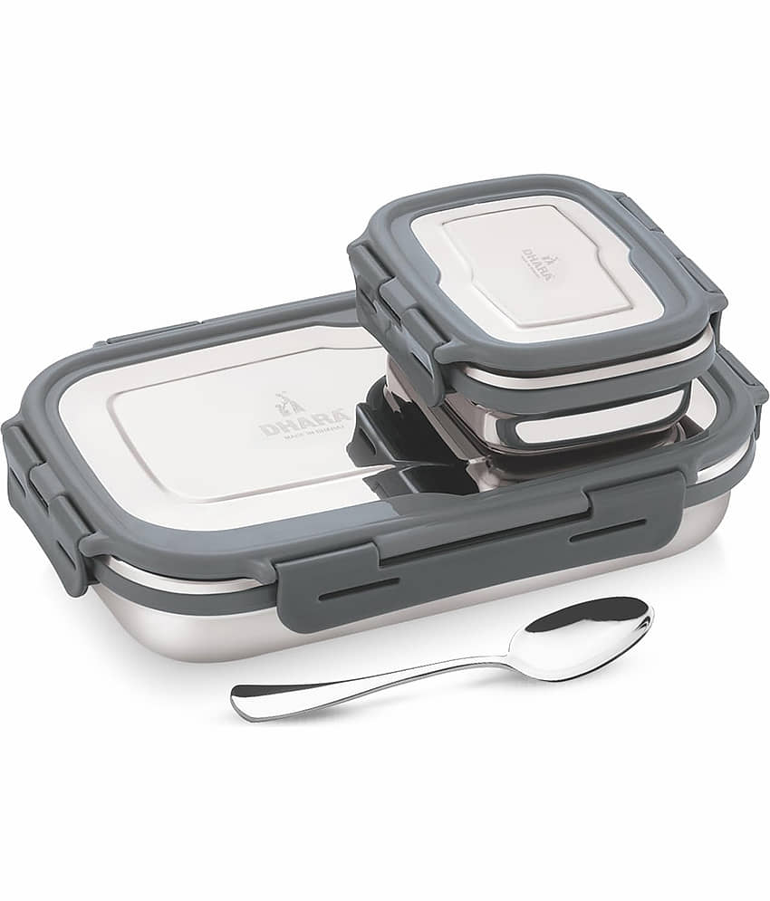 Dhara Stainless Steel Blaze 900 + 200ML Stainless Steel Insulated Lunch Box 2 - Container ( Pack of 1 )