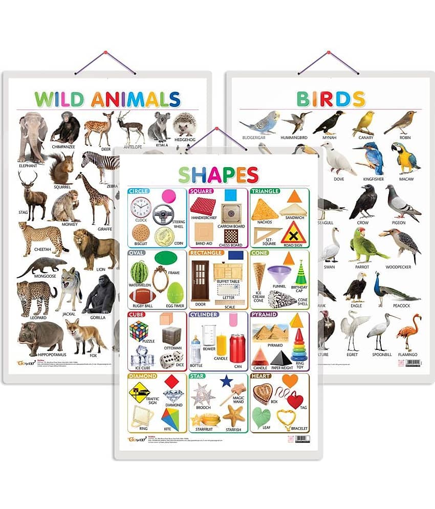 Set of 3 Wild Animals, Birds and Shapes Early Learning Educational Charts for Kids | 20"X30" inch |Non-Tearable and Waterproof | Double Sided Laminated | Perfect for Homeschooling, Kindergarten and Nursery Students