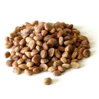 CHAROLI GOLD 100 GM