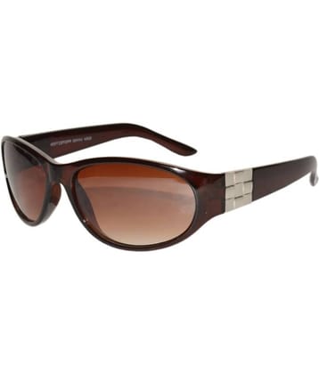 Peter Jones Brown Bug Eye Sunglasses ( G004BW )