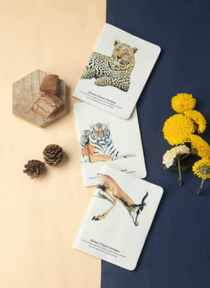 Wildlife Diaries (Set of 3)