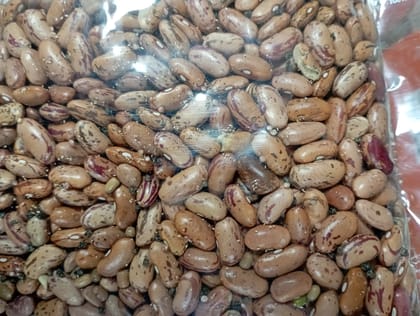 Rajma 