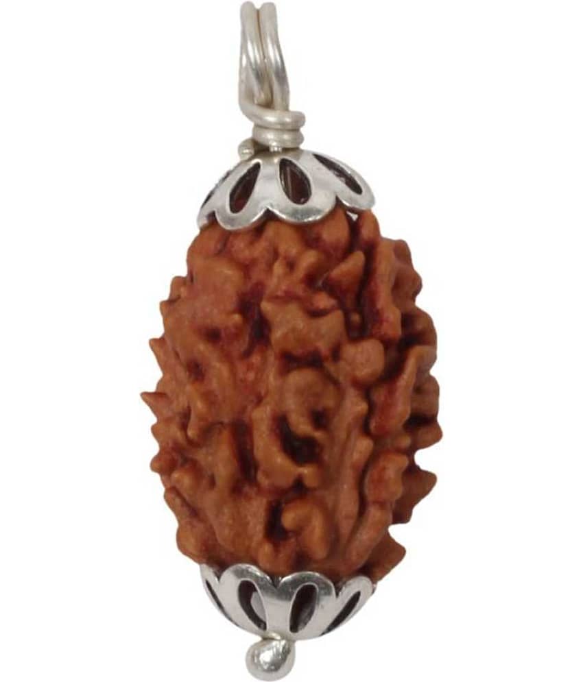 Astrodidi 3 Mukhi Rudraksha With Lab Certified Rudraksha