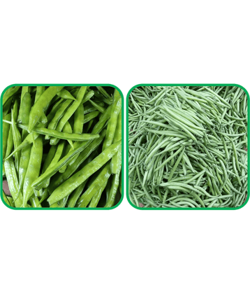 Aero Seeds French Beans ( 30 Seeds) And Cluster Beans ( 50 Seeds) Vegetable Seeds Pack