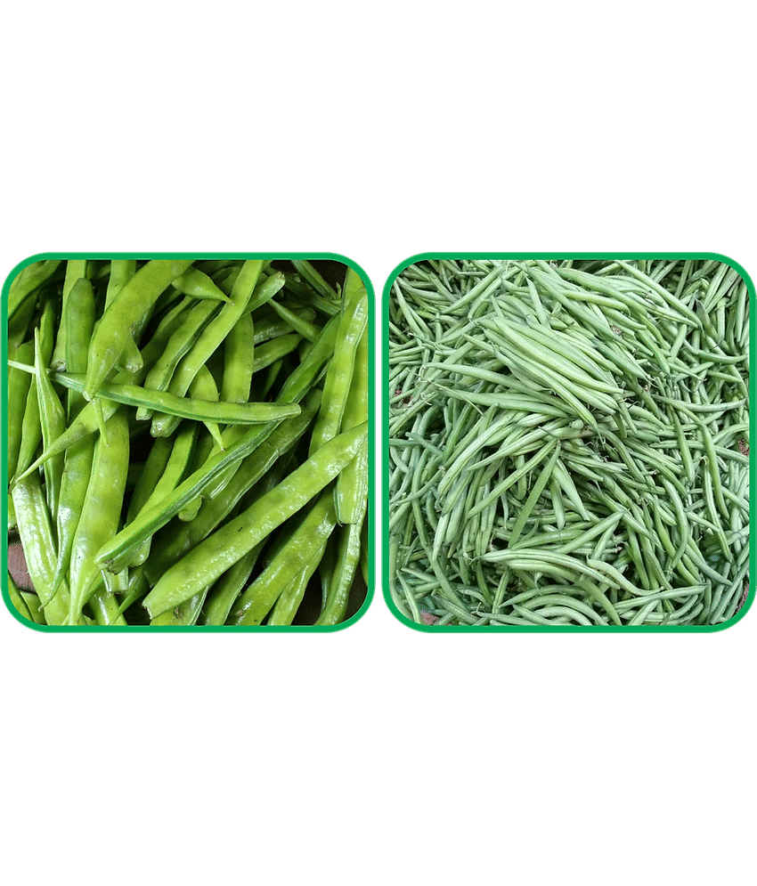 Aero Seeds French Beans ( 30 Seeds) And Cluster Beans ( 50 Seeds) Vegetable Seeds Pack