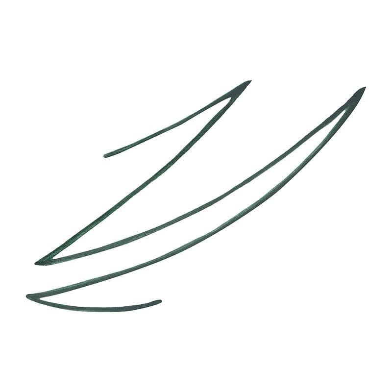 STARSTRUCK BY SUNNY LEONE Liquid Eye Definer